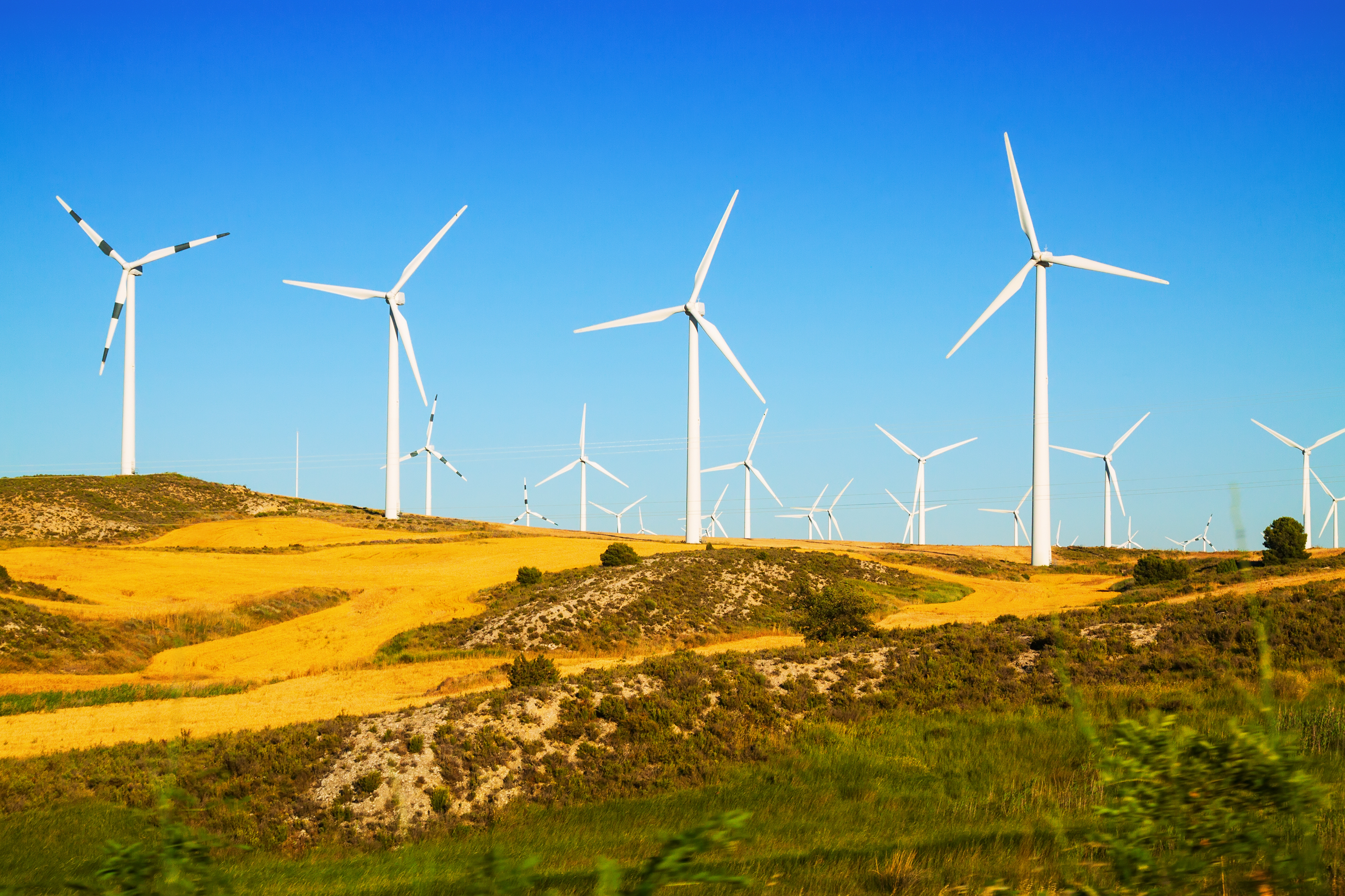 Wind farm at dusk — Win Wind Blades